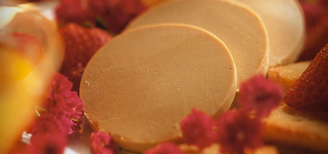 bloc de Fois Gras de Canard