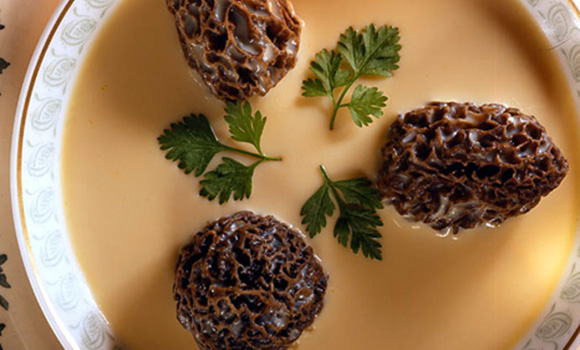 Soupe de foie gras aux morilles