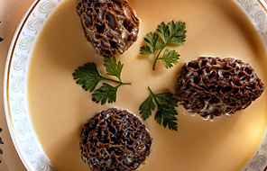 Soupe de foie gras aux morilles