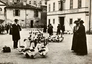 Marché aux oies de Cahors, dans les années 1900