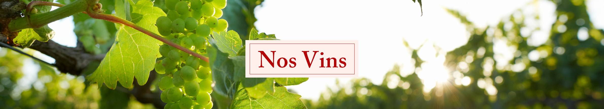 Vins - P&M Decayzac
